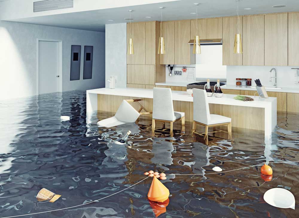 Water Damage Carmel